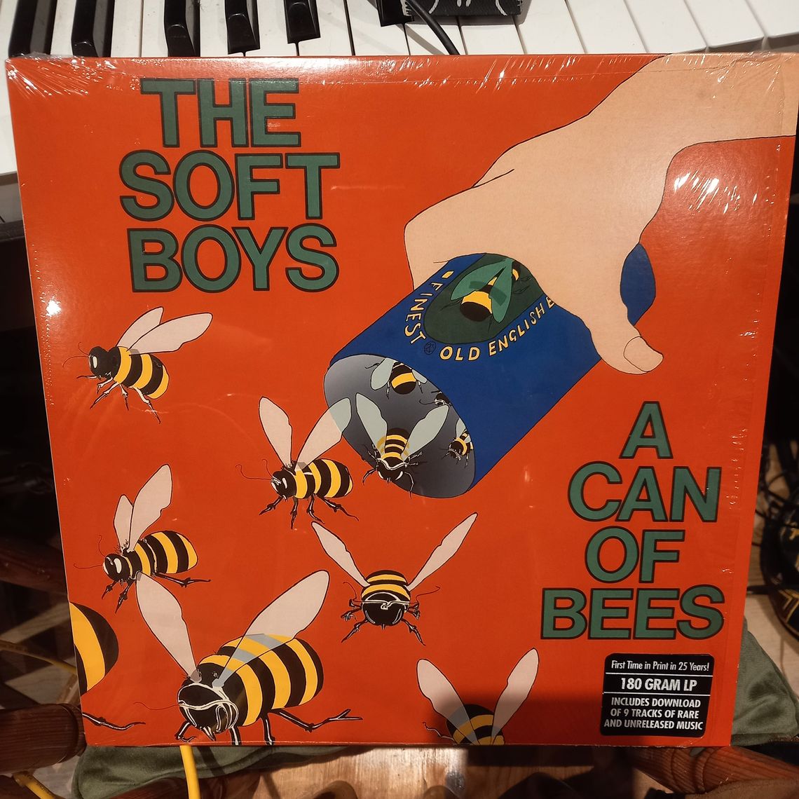 The Soft Boys - A Can of Bees