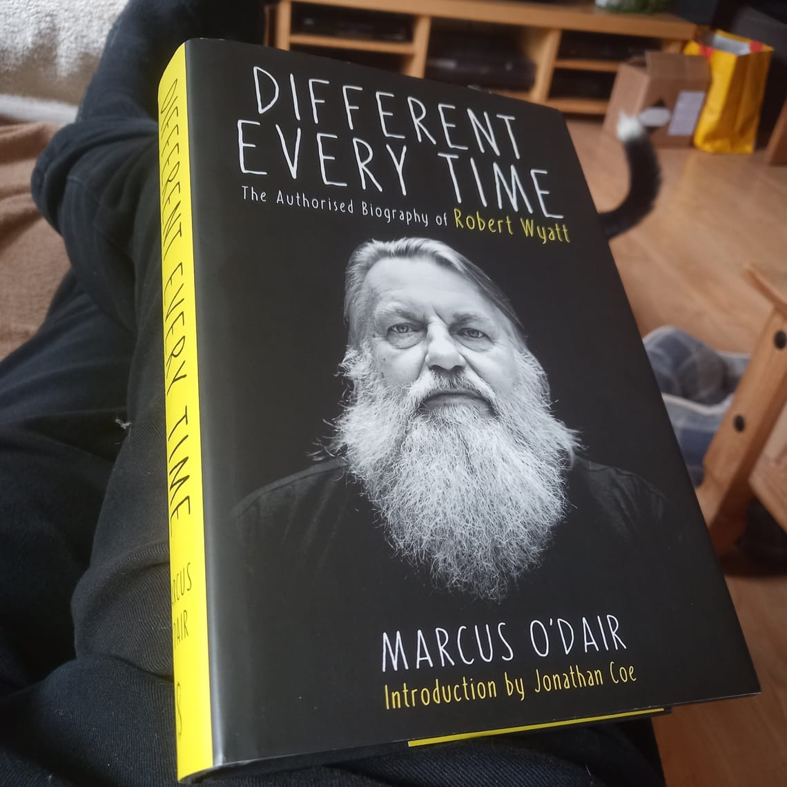 Different Every Time - Robert Wyatt Autobiography