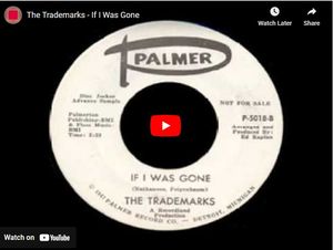 The Trademarks - If I Was Gone